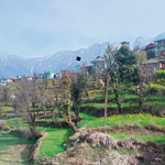 McLeod Ganj Travel Guide: The Little Lhasa of Himachal Pradesh Mcleodganj