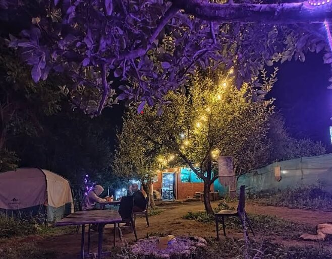 Foodie Forest Manali
